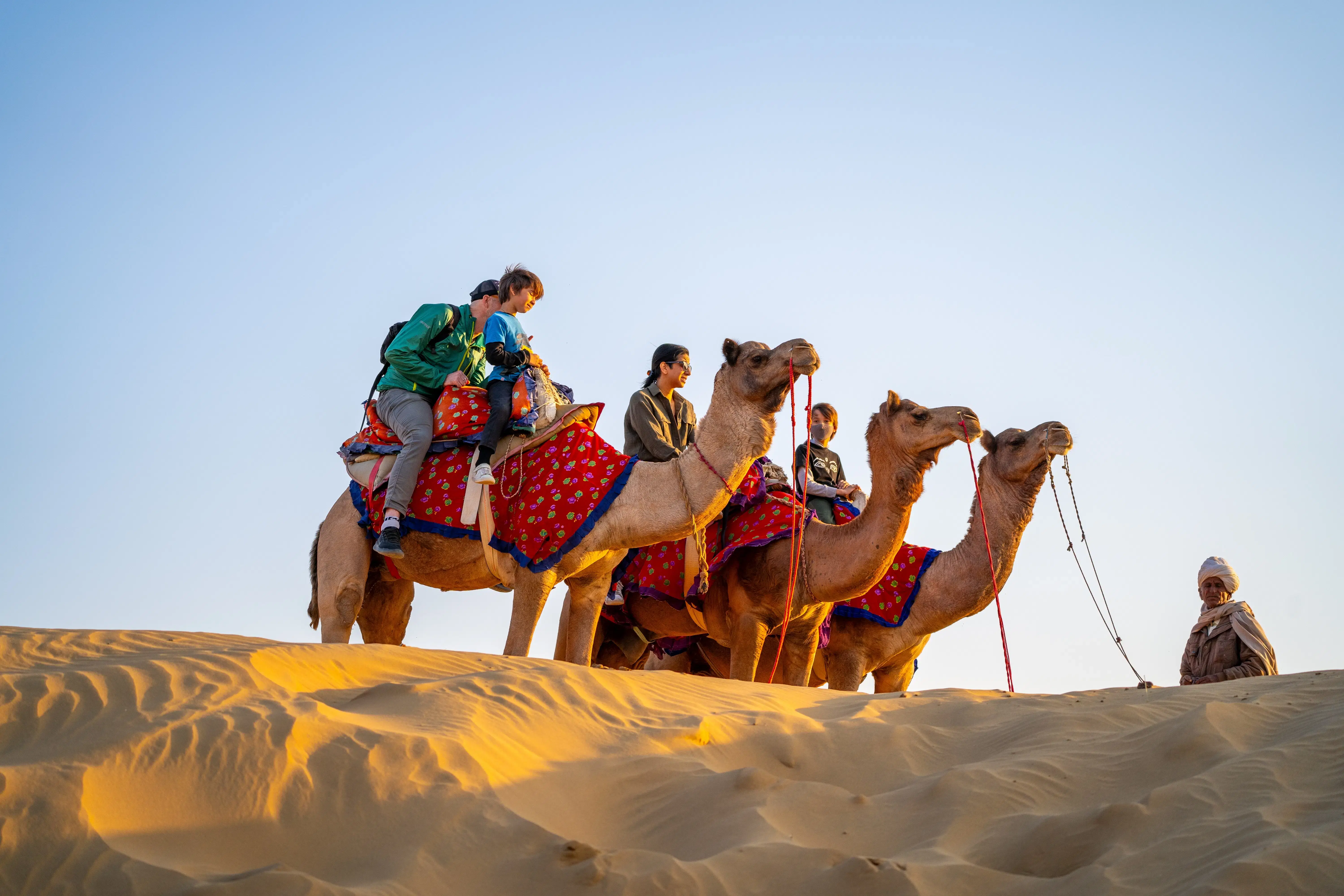 Camel safari